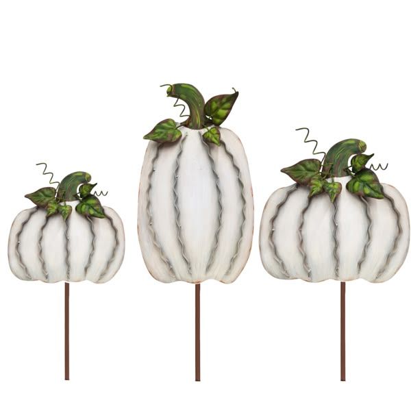 Cream Ribbon Pumpkin-LG