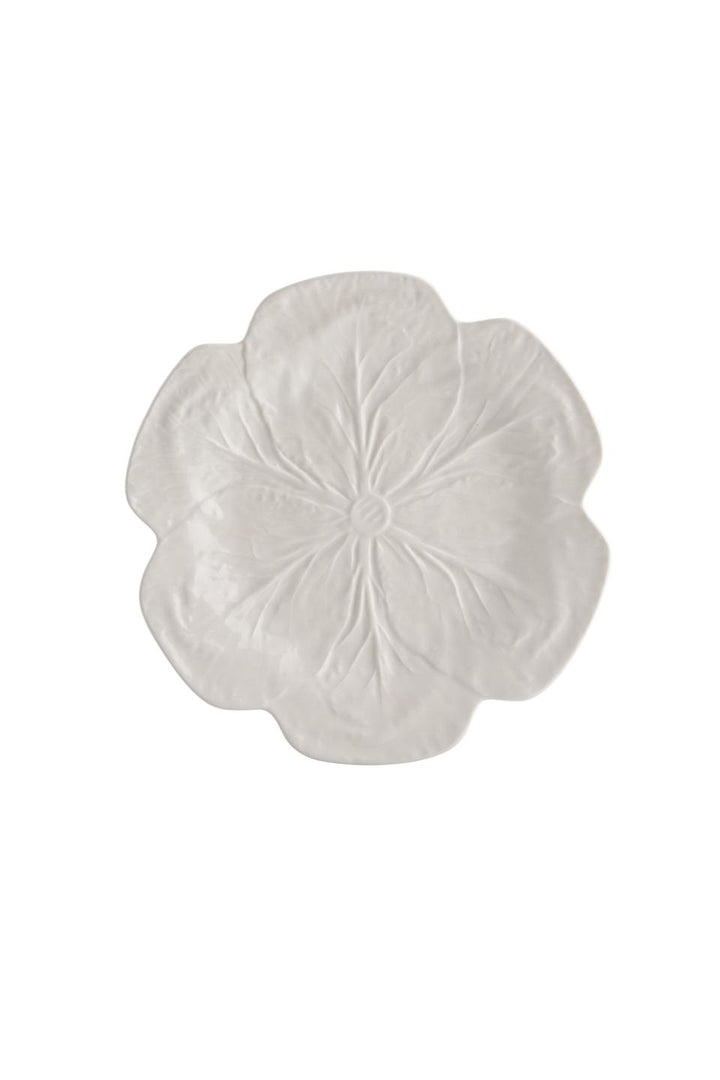 Cabbage Beige