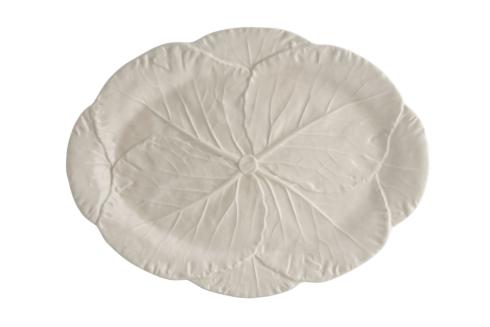Cabbage Beige