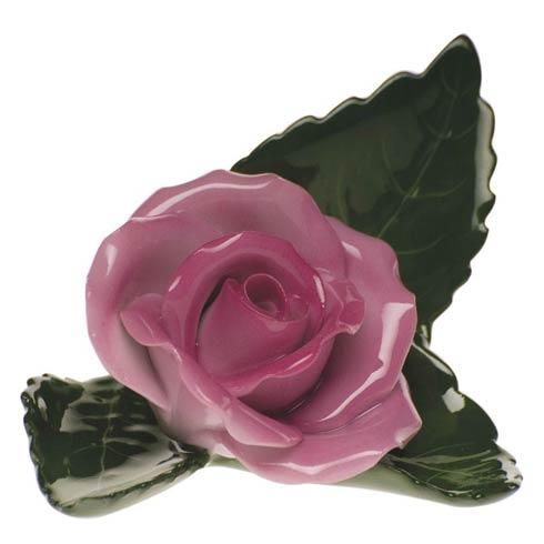 Rose on Leaf