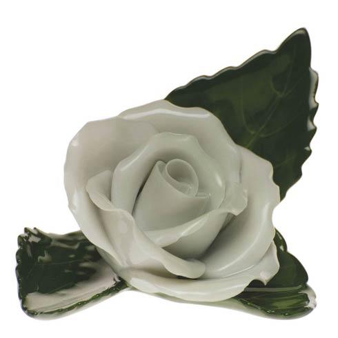 Rose on Leaf