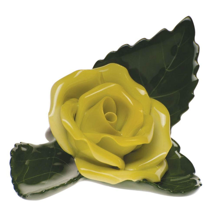 Rose on Leaf